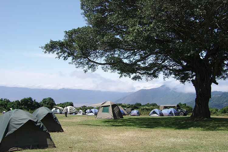 What you need to know before travelling to Africa